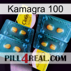 Kamagra 100 cialis5
